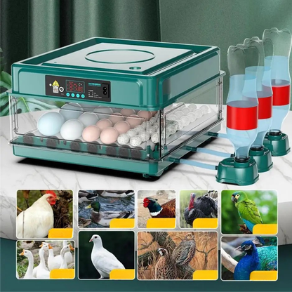 Automatyczna inkubator do jaj z obracaniem i kontrolą temperatury