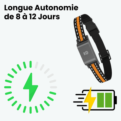 Marcherelle™ – Collier GPS Chat Sans Abonnement, Suivi en Temps Réel