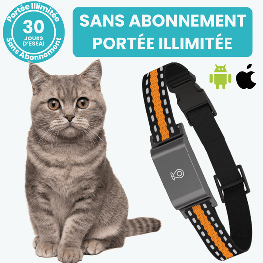 Marcherelle™ – Collier GPS Chat Sans Abonnement avec Suivi Précis, Portée Illimitée