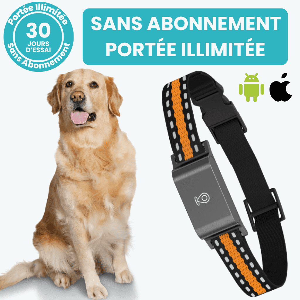 Marcherelle™ – Collier GPS Chien Sans Abonnement, Suivi en Temps Réel
