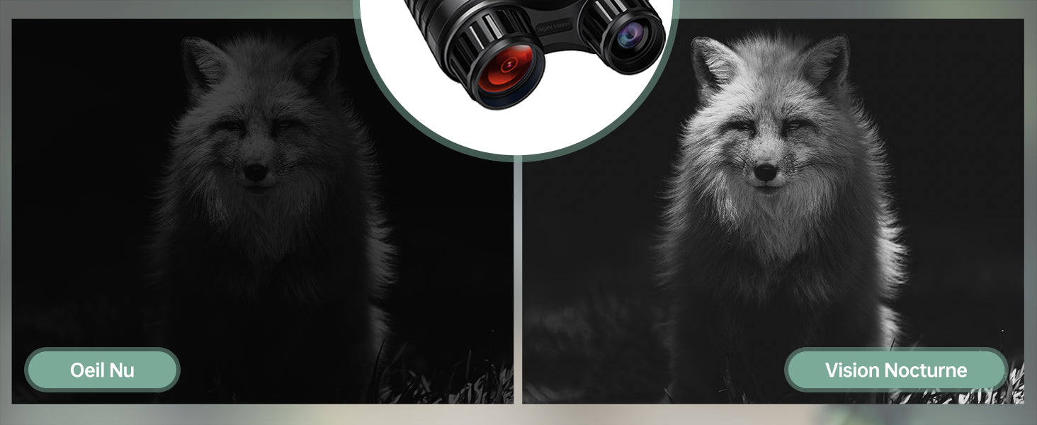 Marcherelle™ – Jumelles Vision Nocturne Infrarouge 300M avec Zoom 8X