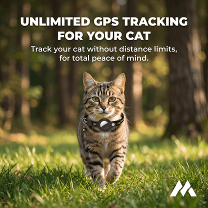 Macherelle™ – Obroża GPS dla kota bez abonamentu | Kompatybilna z iOS i Android
